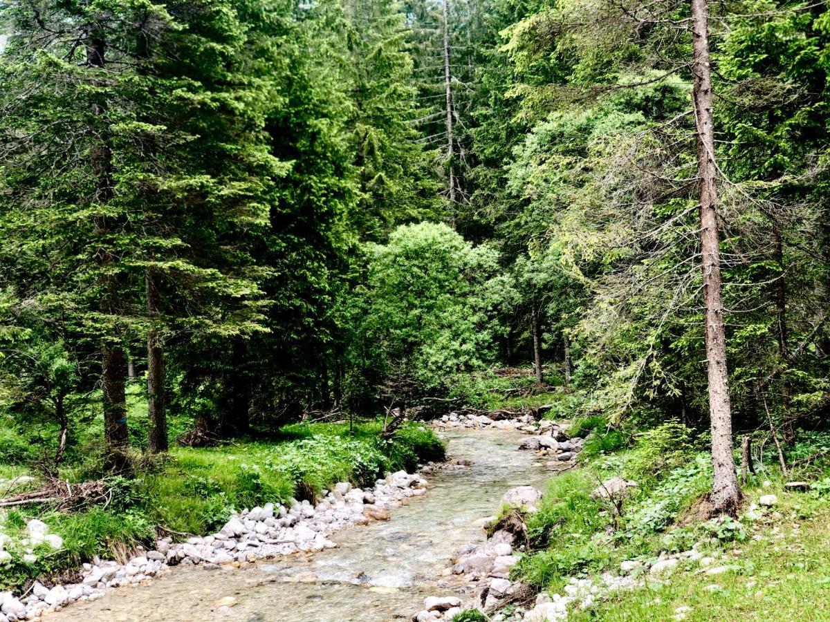 Suite Italy Pinzolo Carisolo Eksteriør billede