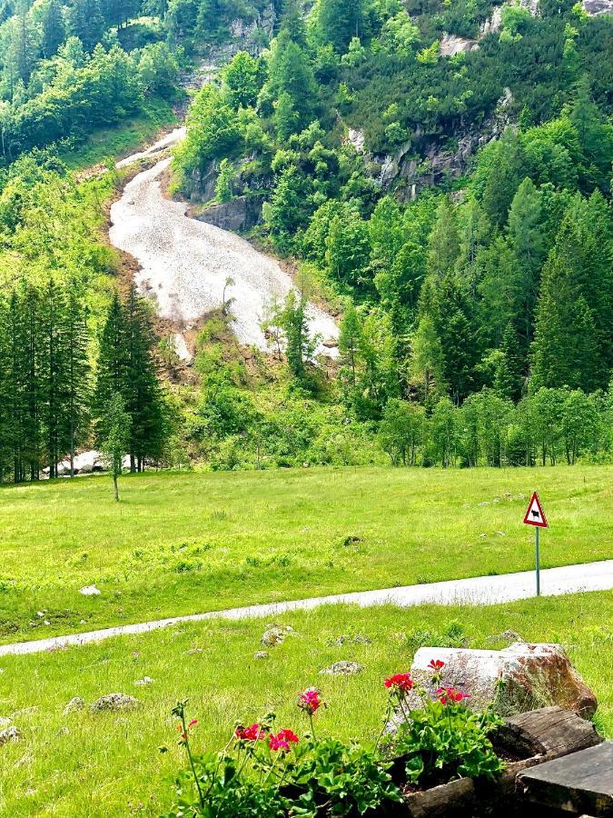 Suite Italy Pinzolo Carisolo Eksteriør billede